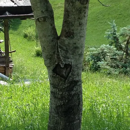 Semesterbostad Casa Mia